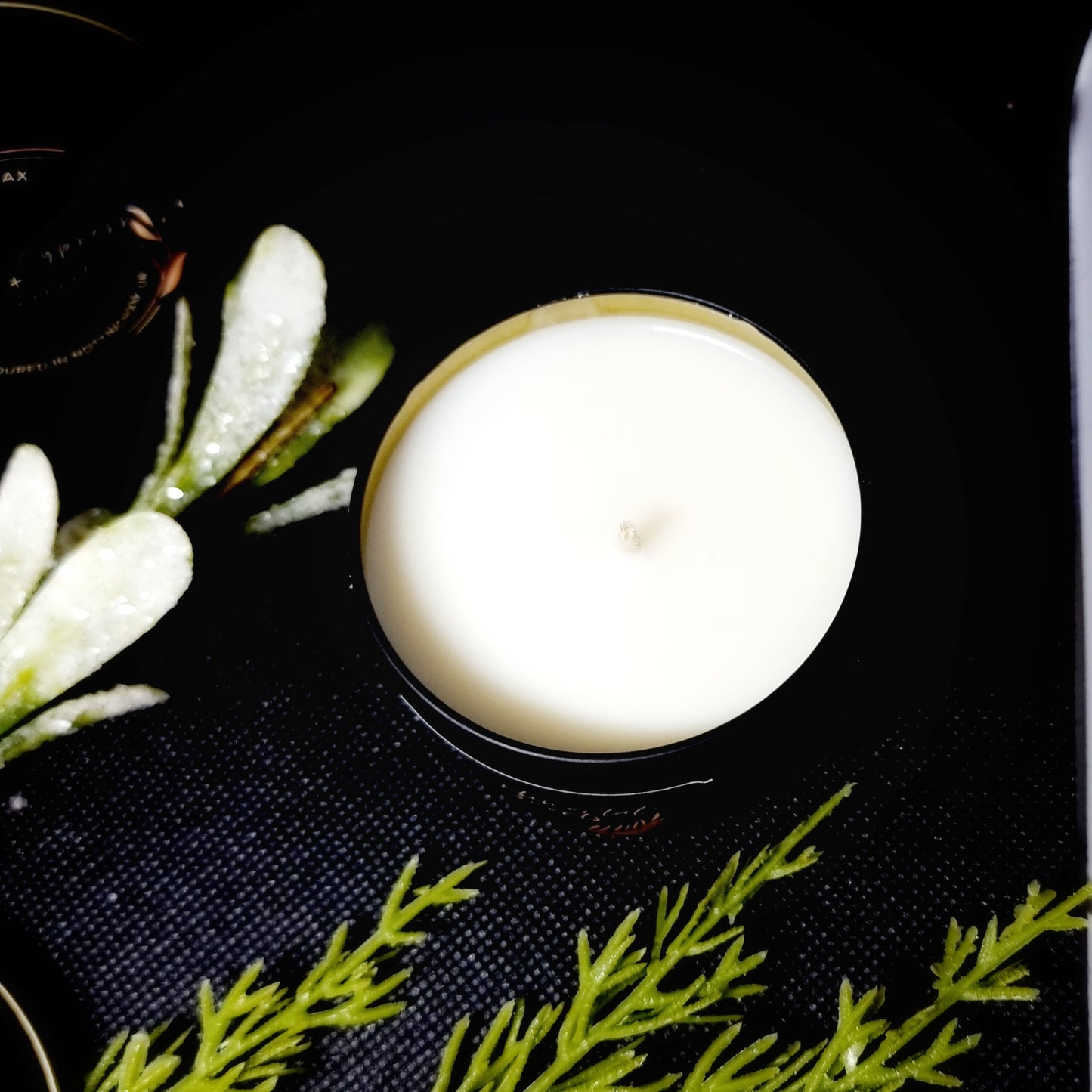 Coastal Cypress & Sea Fennel Scented Matte Black Candle Tin